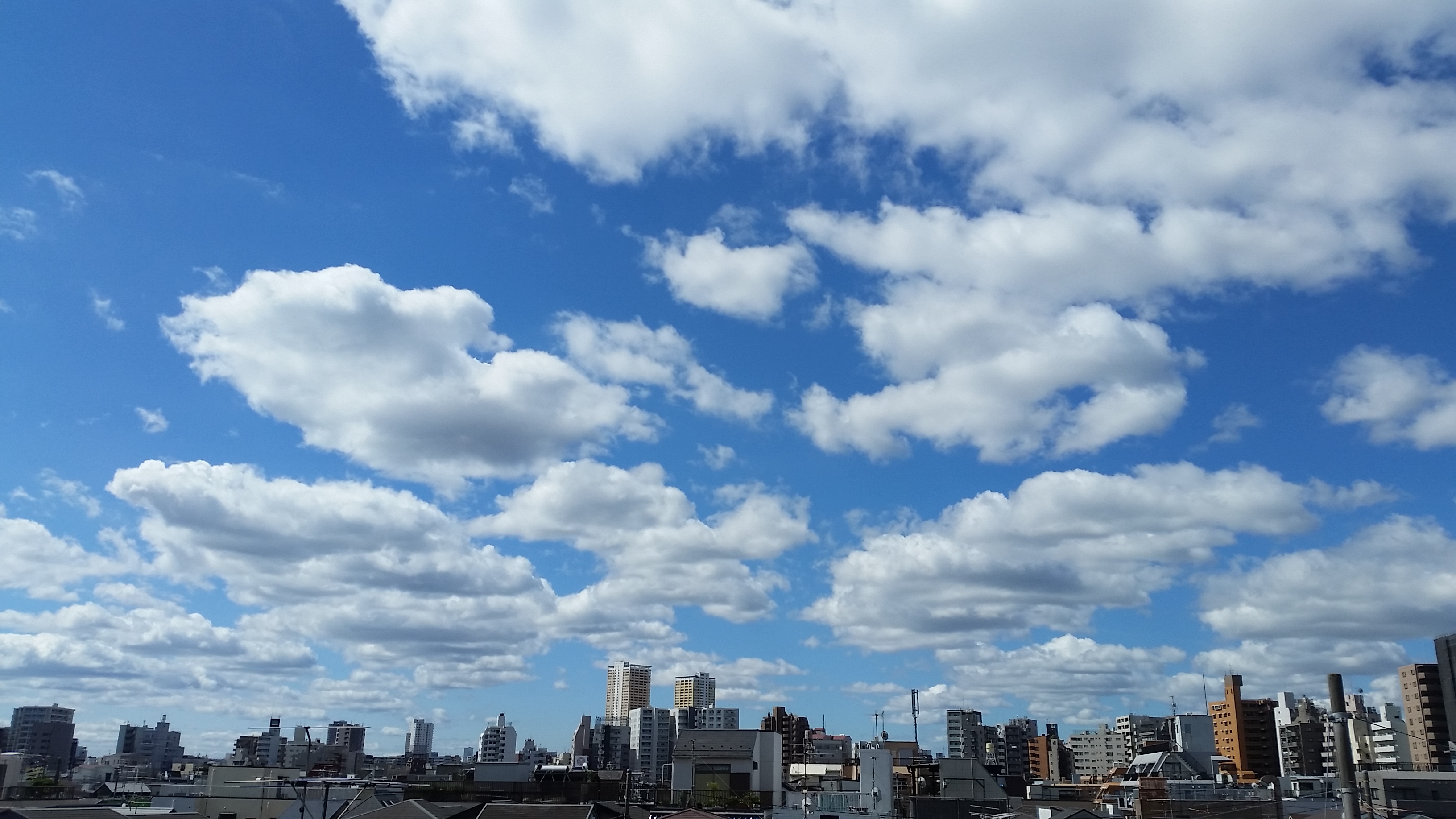 rooftop view